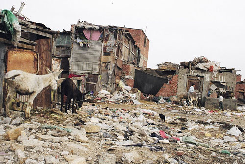 Affald, afføring og døde dyr udgør ligger overalt mellem hytterne.
